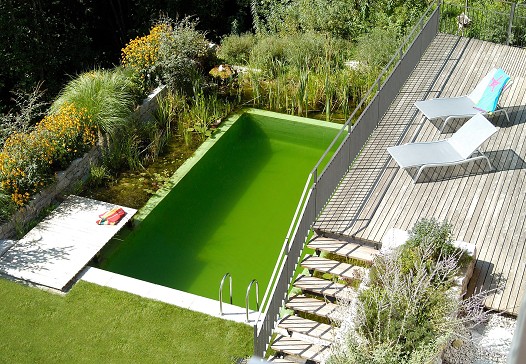 Hanganlage mit Schwimmteich